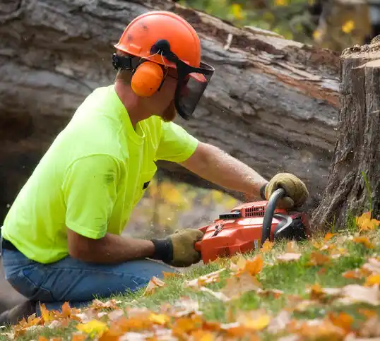 tree services Junction City